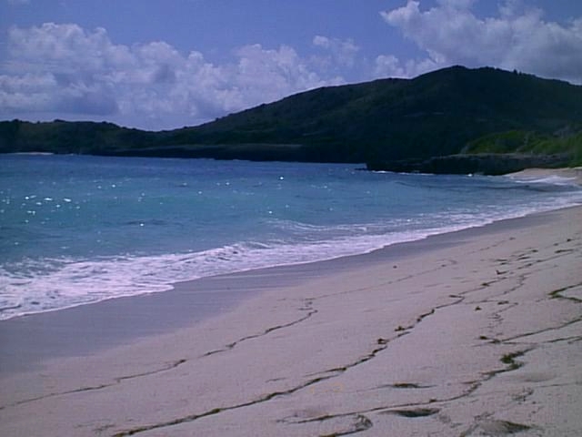 Beach.JPG (129053 octets)