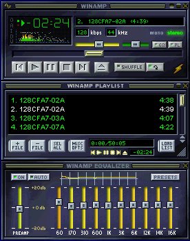 wina.jpg (38730 octets)